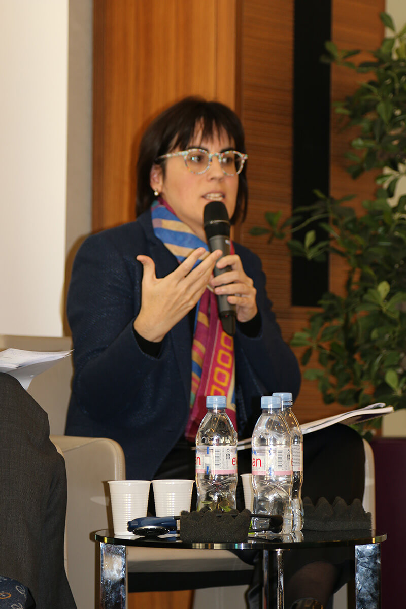 Silvia Herms, AMICE